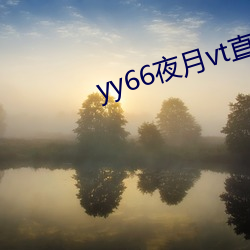 yy66夜月vt直播