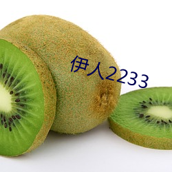 伊人2233