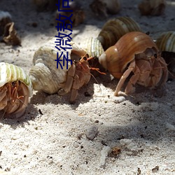 李(lǐ)微敖向景(jǐng)甜致歉