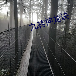 九转神龙诀