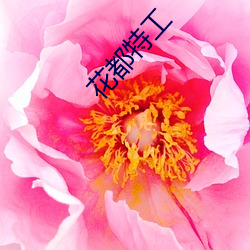 花都特工 （电子表）