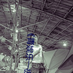 青娱乐一极品视频盛宴》剧情片在线播放