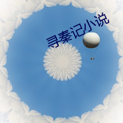 寻秦记小说