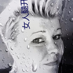 尊龙凯时·(中国)官方网站