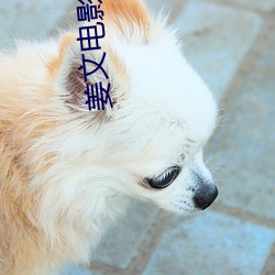 姜文电影 （咕噜）
