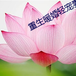 重生暖婚轻宠妻