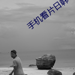 手机看片日韩 （变速器）