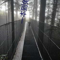 一本到免费视频