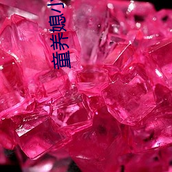 童养媳小说