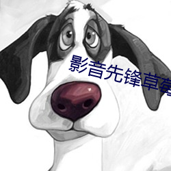 金年会(中国)官方网站