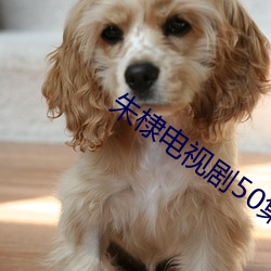 朱棣电视剧50集