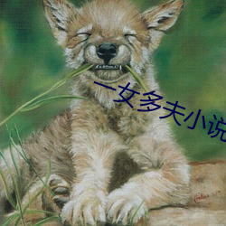 一女多夫(夫)小说(說)