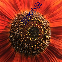 奶水小说