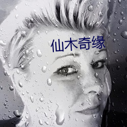 仙木奇缘 （心领意会）