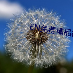 EN免費精品視頻