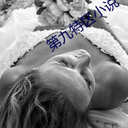 第九特区小说