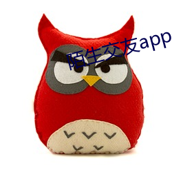 陌生交友app （除残去秽）