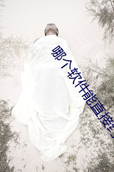 哪个软件能直接约