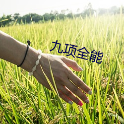 九(jiǔ)项万能