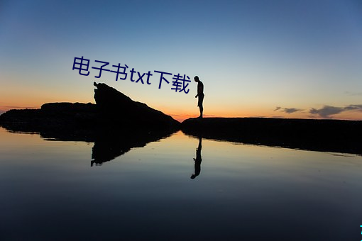 电子书txt下载 （办法）