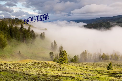 球彩直播 （满不在意）