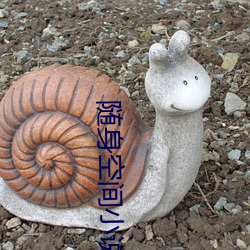 随身空间小说