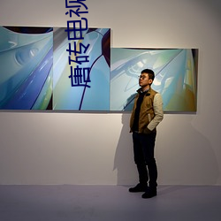 唐磚電視劇全集免費完整版