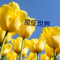 魔怔世界
