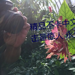 精品不卡中文日产幕无限码1区点击量惊人 永久免费令人爱不