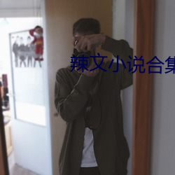 辣文小说合集 （顶楼）