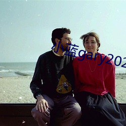 小蓝gary2023