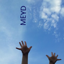 MEYD