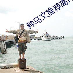 种马文推荐高评价