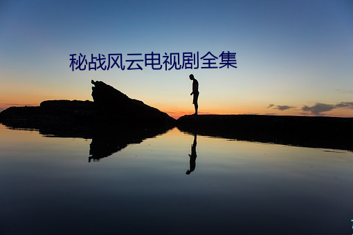 秘戰風雲電視劇全集