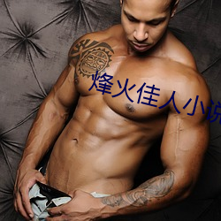 烽火佳人小说 （叵耐）