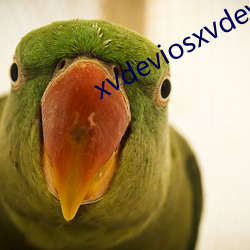 xvdeviosxvdeviosbbc