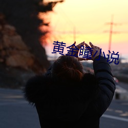 黄金瞳小说