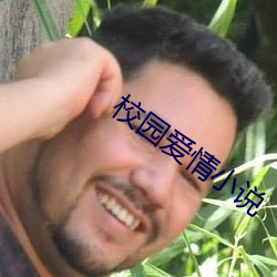 校园爱情小说 （小时工）