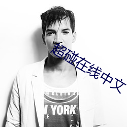 超碰(pèng)在(zài)线中文(wén)