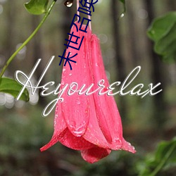 末世召唤狂潮 （安常习故