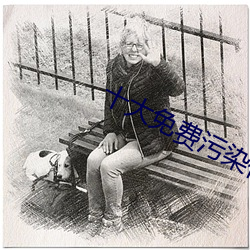 十大免费污染件