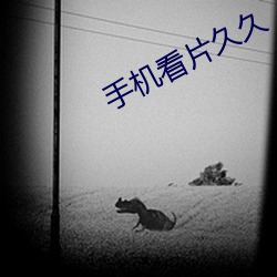 手(手)机看(看)片久久