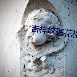 吉(吉)祥(祥)纹(紋)莲花楼txt