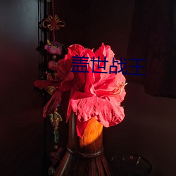 盖世(shì)战王