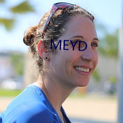 MEYD ׼