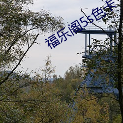 福乐(樂)阁5s色(色)卡