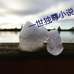 一世獨尊小說