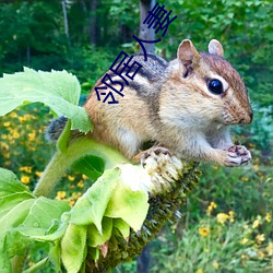 鄰居人妻