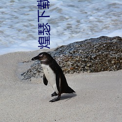 米乐M6·(中国)官方网站