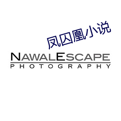 凤囚(囚)凰小(小)说(說)